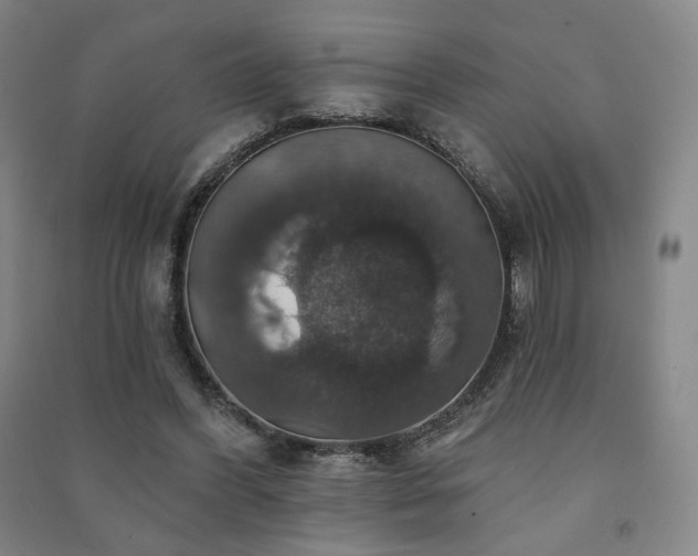 X0000091460396200708161526
