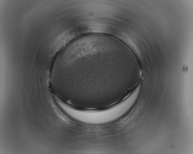 X0000091460397200708161526