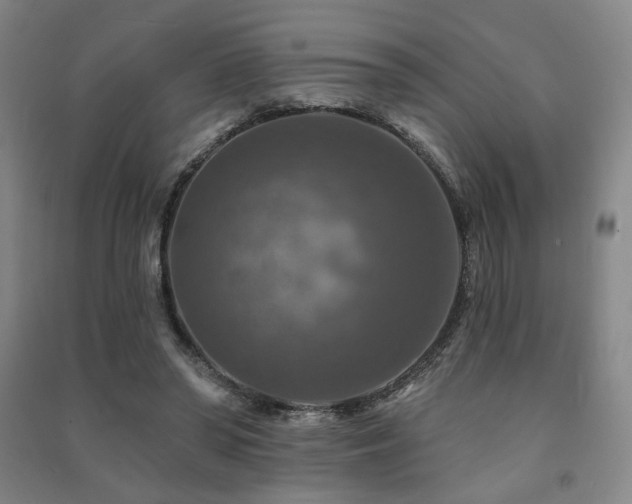 X0000091460398200708161526