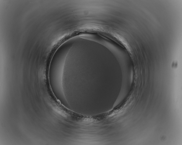 X0000091460399200708161526