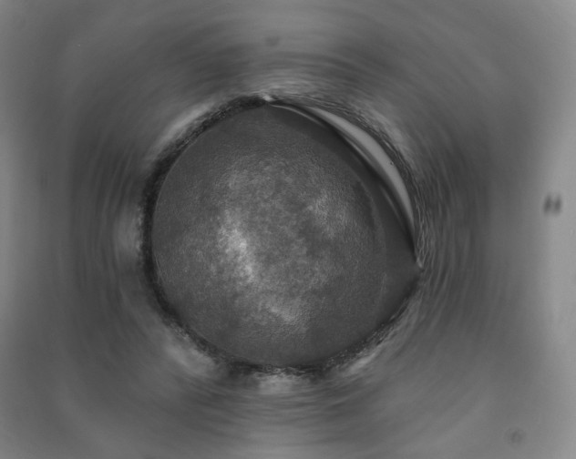 X0000091460400200708161526