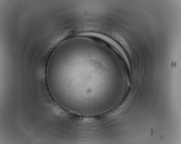 X0000091460401200708161526