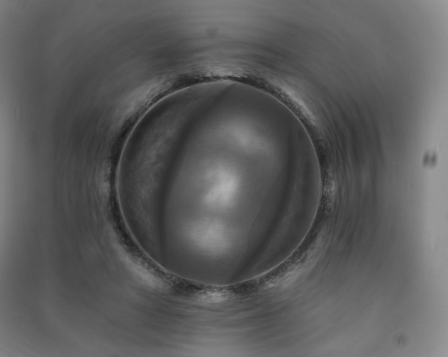 X0000091460402200708161526