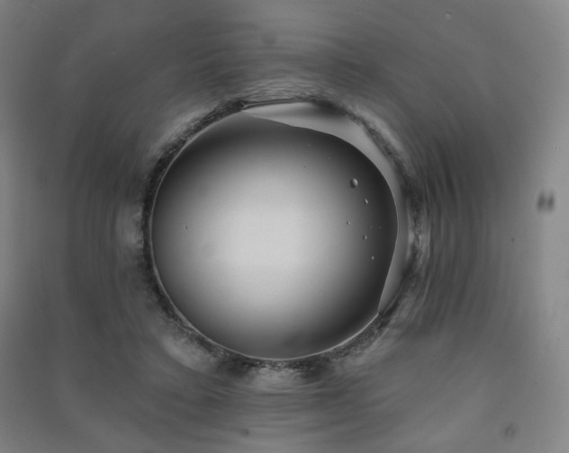 X0000091460403200708161526