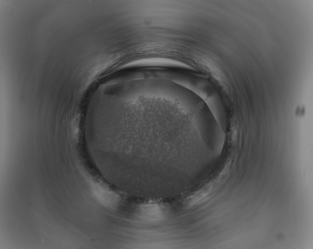 X0000091460404200708161526