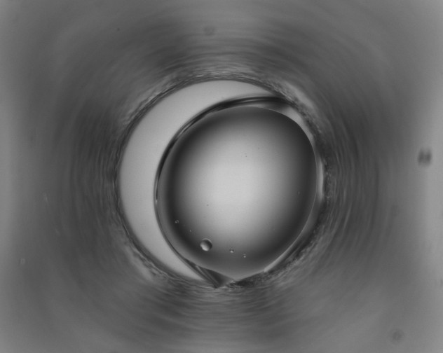 X0000091460405200708161526