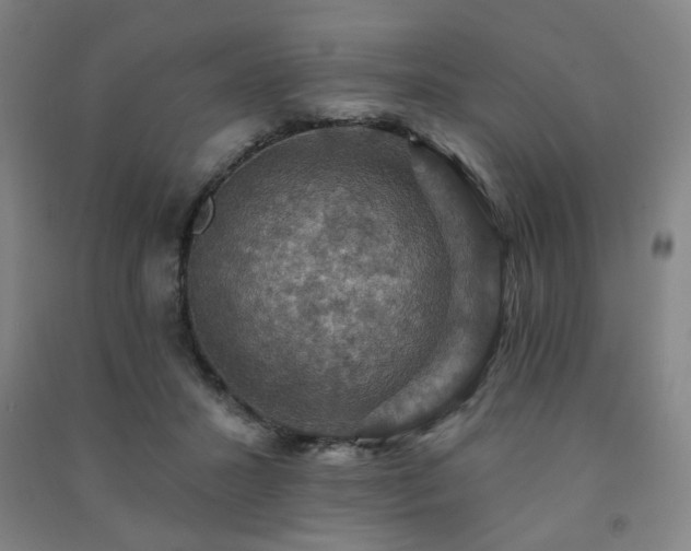 X0000091460407200708161526