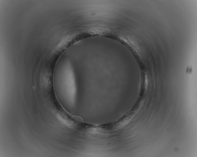 X0000091460408200708161526