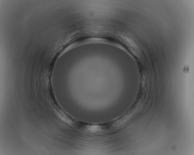 X0000091460409200708161526