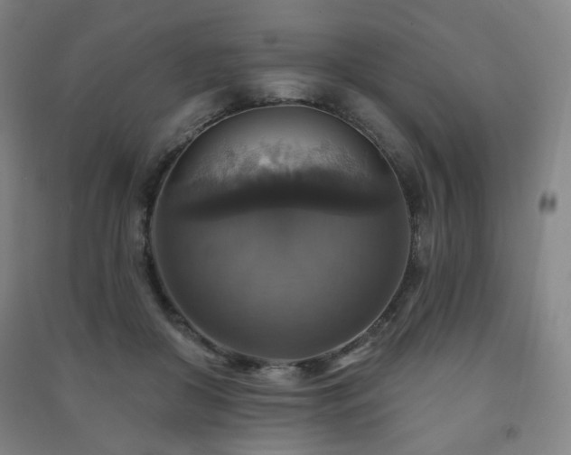 X0000091460410200708161526