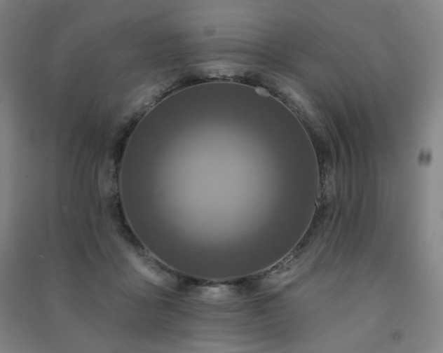 X0000091460411200708161526