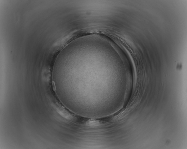 X0000091460413200708161526