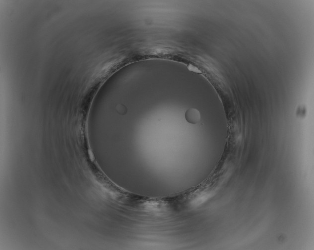 X0000091460415200708161526