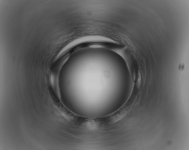 X0000091460416200708161526