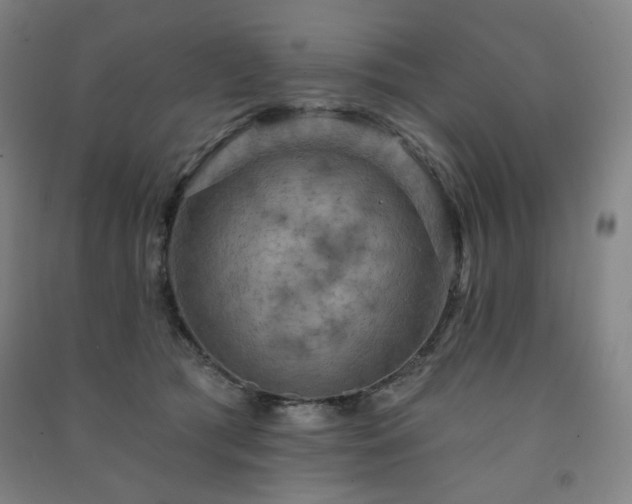 X0000091460417200708161526