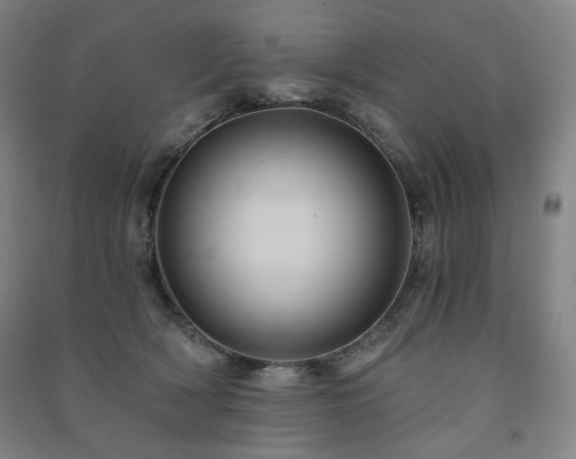 X0000091460418200708161526