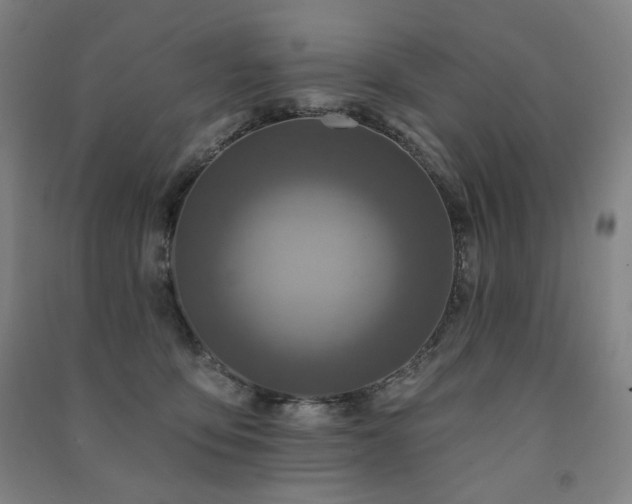 X0000091460419200708161526