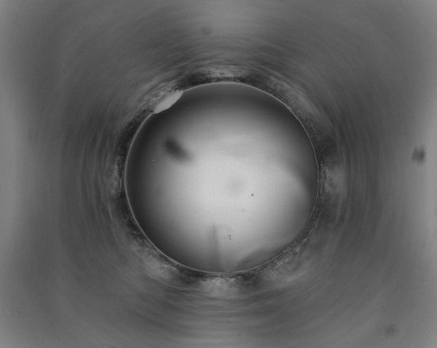 X0000091460422200708161526