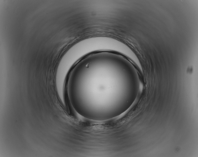 X0000091460423200708161526