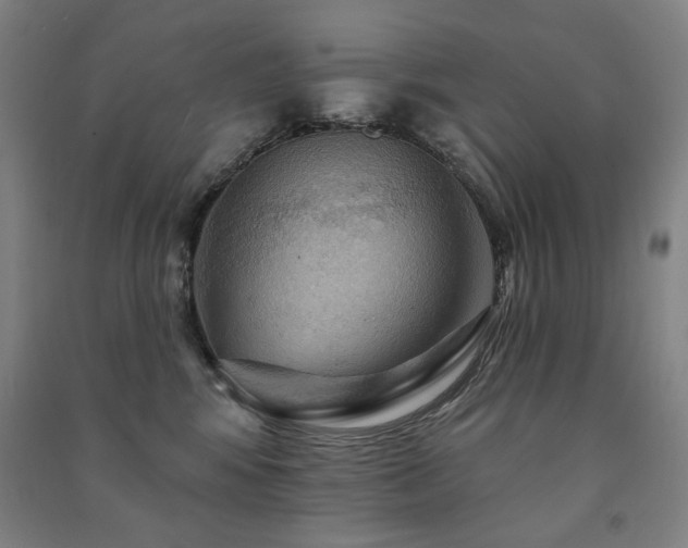 X0000091460424200708161526