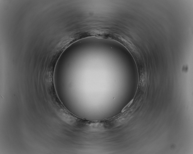 X0000091460426200708161526