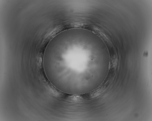 X0000091460427200708161526