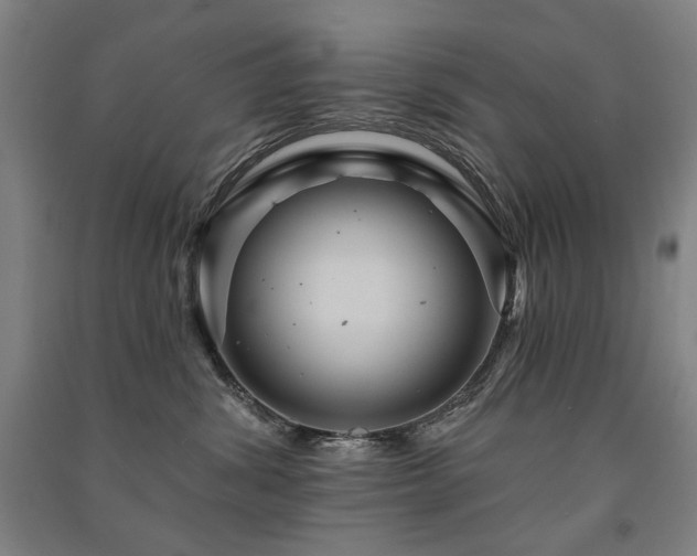 X0000091460428200708161526
