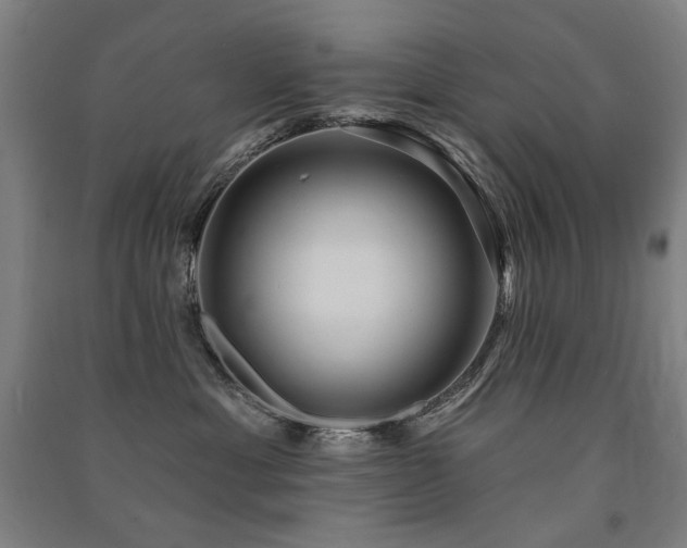 X0000091460429200708161526