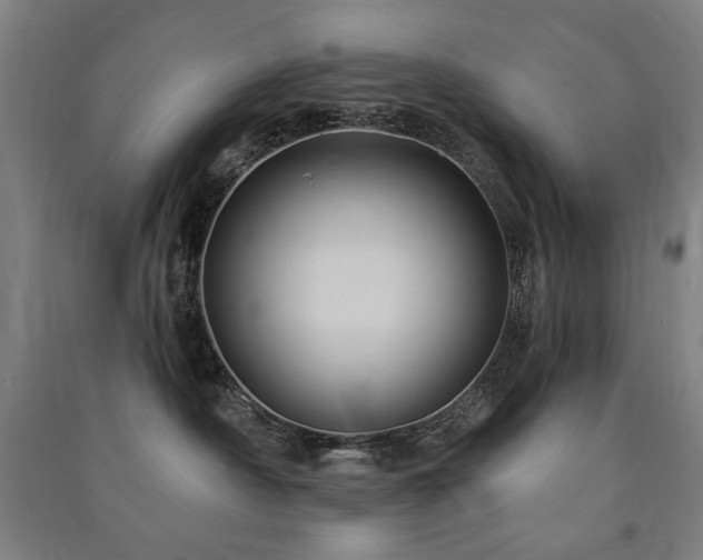 X0000091460430200708161526