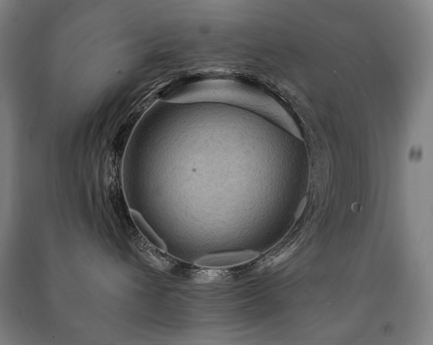 X0000091460432200708161526