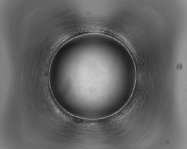 X0000091460433200708161525