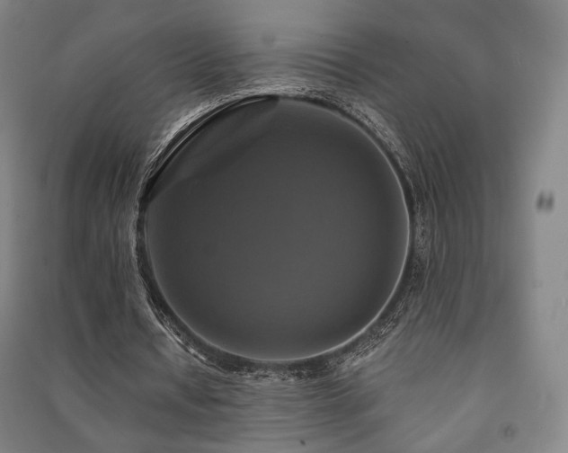 X0000091460434200708161525