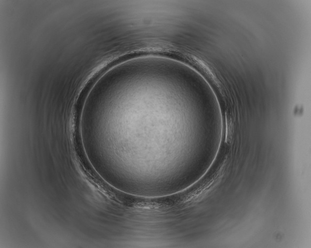 X0000091460435200708161525
