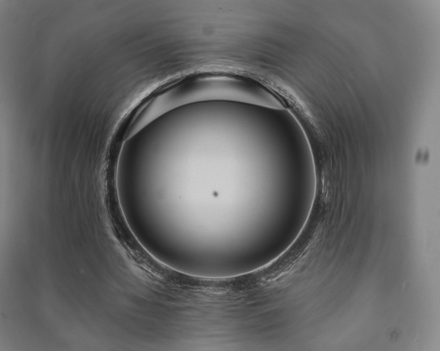 X0000091460436200708161525