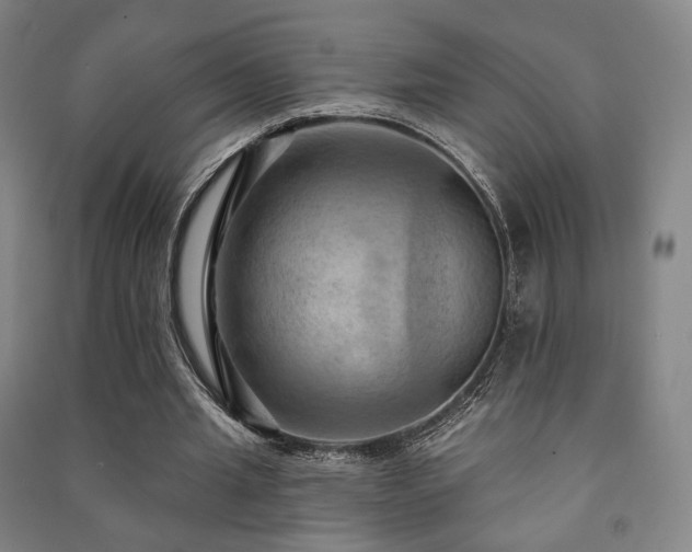 X0000091460437200708161525