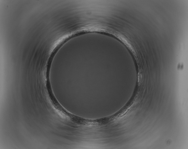 X0000091460438200708161525