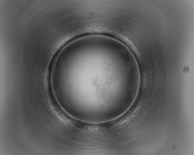 X0000091460439200708161525