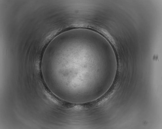 X0000091460441200708161525