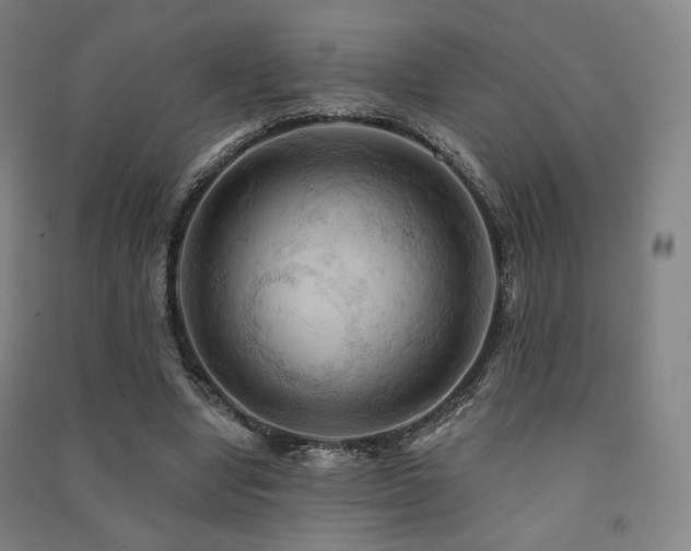 X0000091460442200708161525