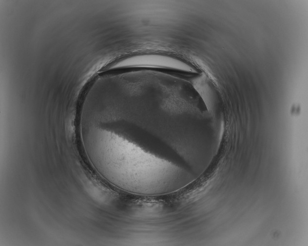 X0000091460443200708161525