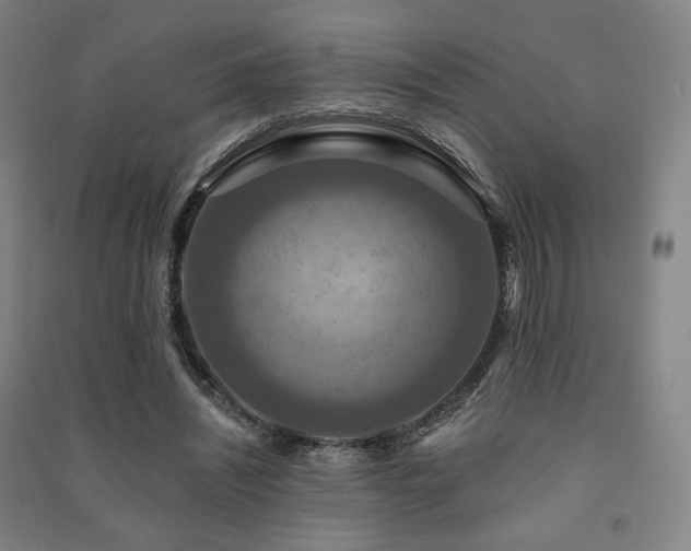 X0000091460444200708161525