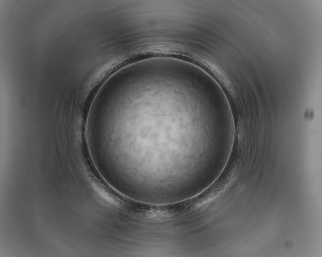 X0000091460445200708161525