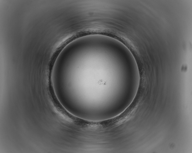 X0000091460446200708161525