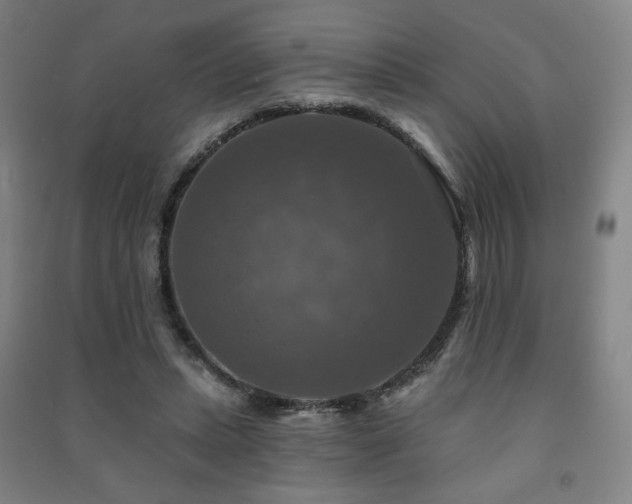 X0000091460447200708161525