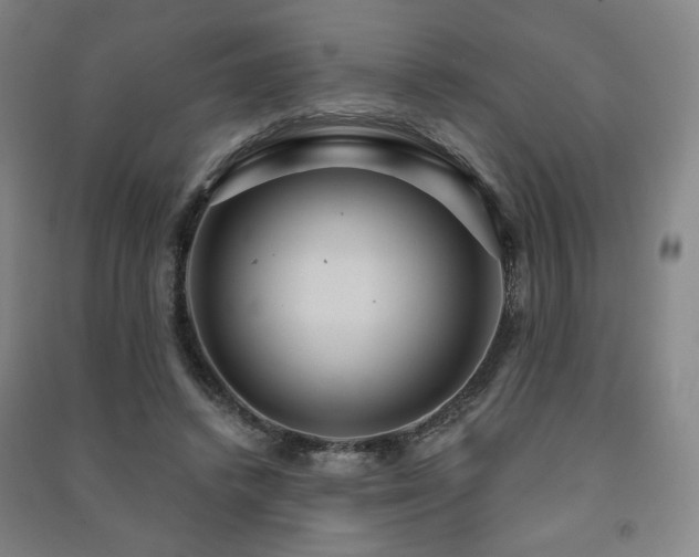 X0000091460448200708161525