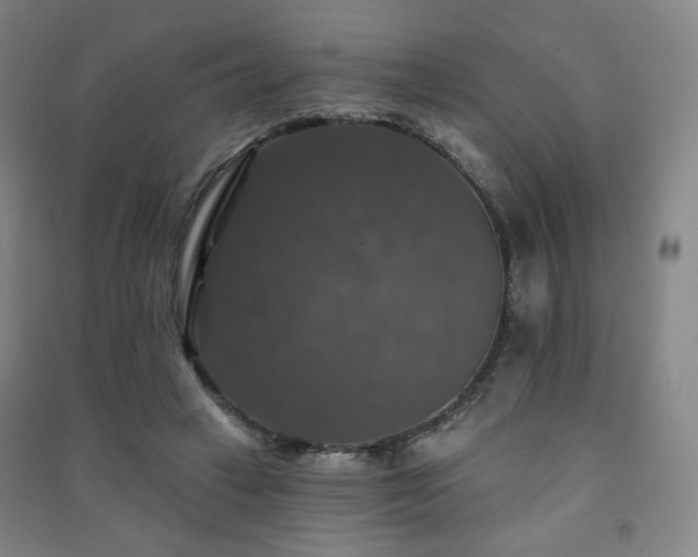 X0000091460449200708161525