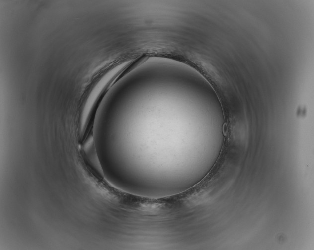 X0000091460450200708161525
