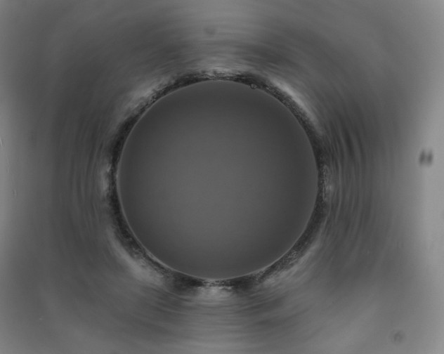 X0000091460451200708161525