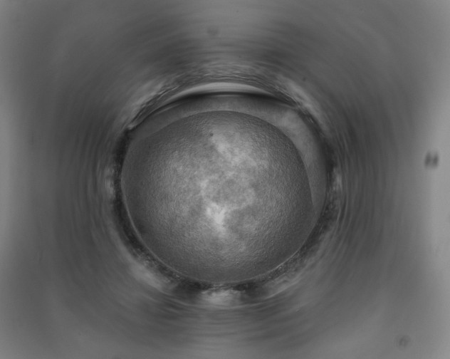 X0000091460452200708161525