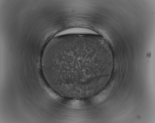 X0000091460453200708161525